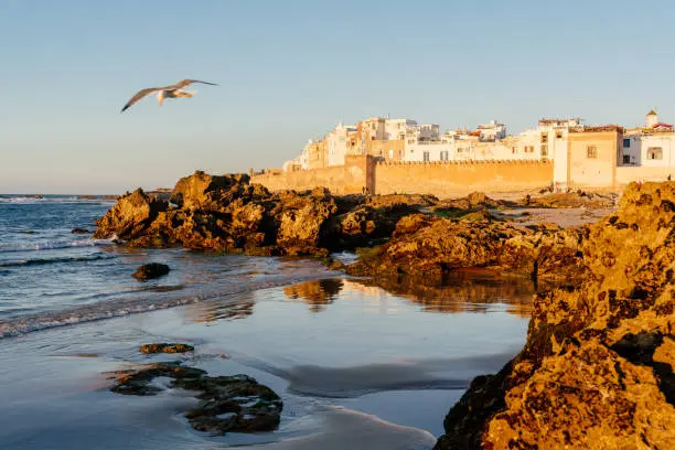 Where to Stay in Essaouira